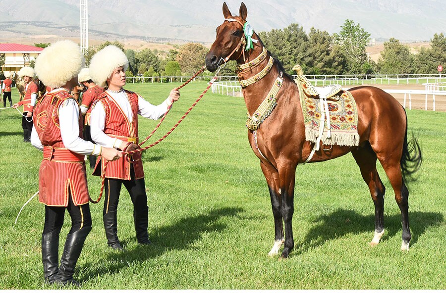 Image: © Hasan Magadov, Turkmenistan, 2022