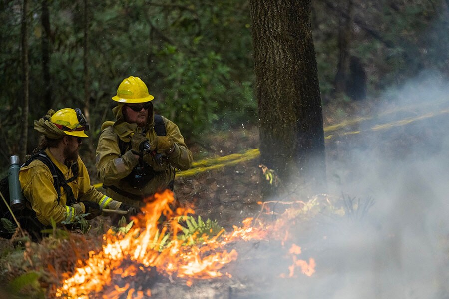 Firefighters with California State Parks monitor a prescribed burn at Wilder Ranch State Park near Santa Cruz, California.Firefighters with California State Parks monitor a prescribed burn at Wilder Ranch State Park near Santa Cruz, California.
Image: Nic Coury / AFP