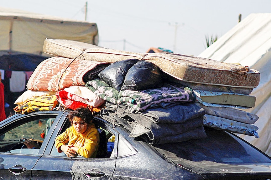 Photo of the day: Looking for home