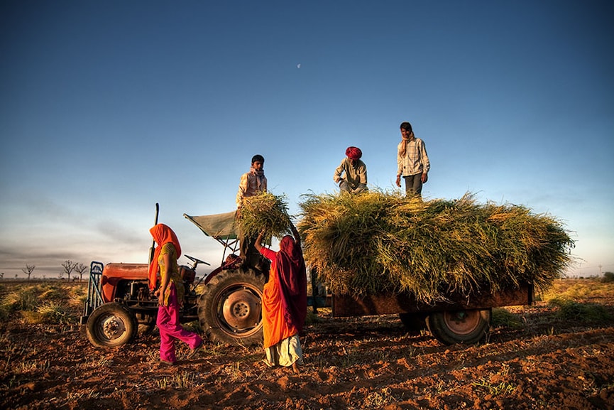 Agriculture in Budget 2023: An accelerator fund for startups and a focus on digital public infrastructure