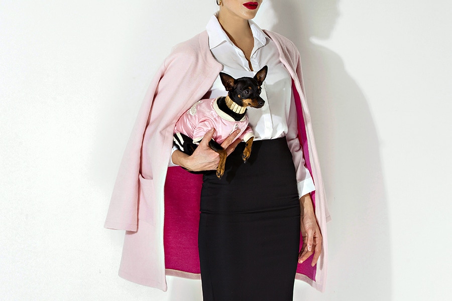 From cardigans and bow ties to designer carriers, luxury petwear is on the rise