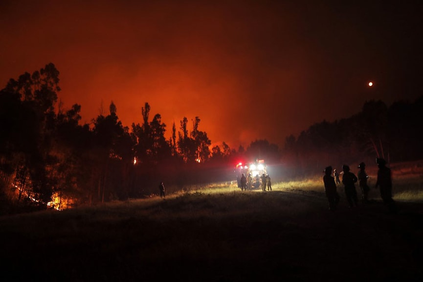 Photo of the day: Burning forest