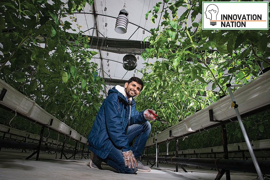 Eeki Foods: Hydroponic veggies at mandi rates