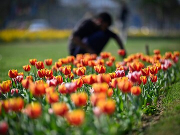 Photo of the day: Blooms for G20