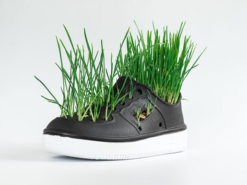 Biodegradable, upcycled or sustainable, the world of sneakers is going green