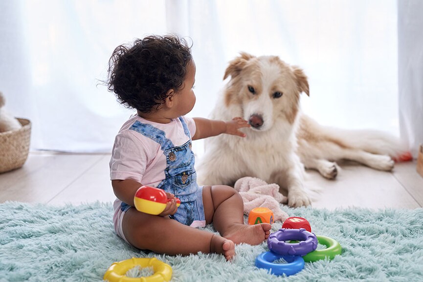 Could dogs teach young children about altruism and helping others?