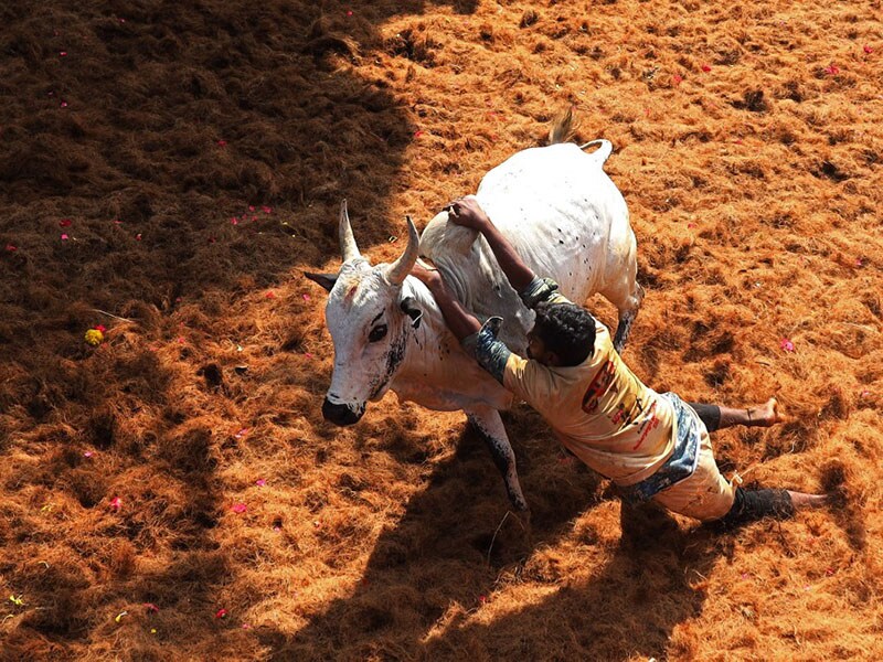 Photo of the day: For traditions