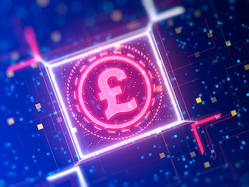 Digital pound to prioritise privacy with pseudonymous nature: BoE CBDC Chief