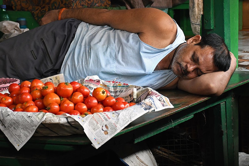 82% of Indian households not availing of government subsidies for tomatoes: Report