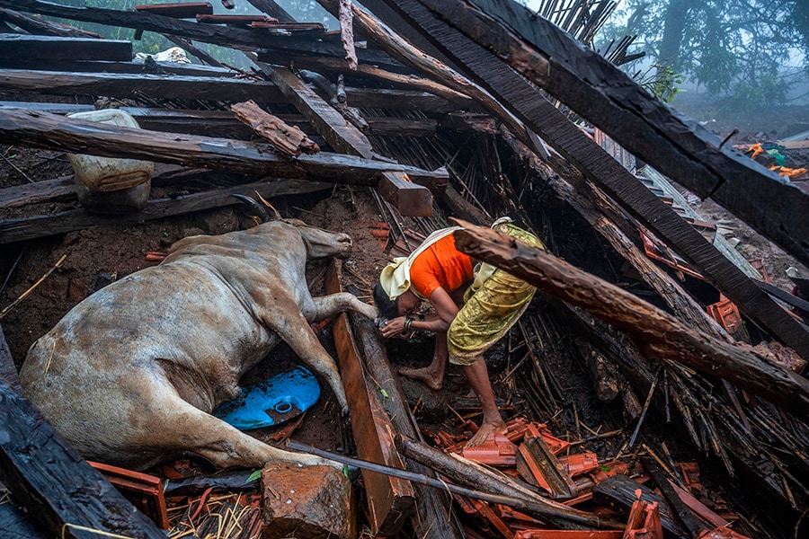 Photo of the day: Wiped out