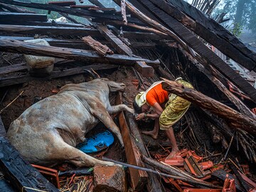 Photo of the day: Wiped out