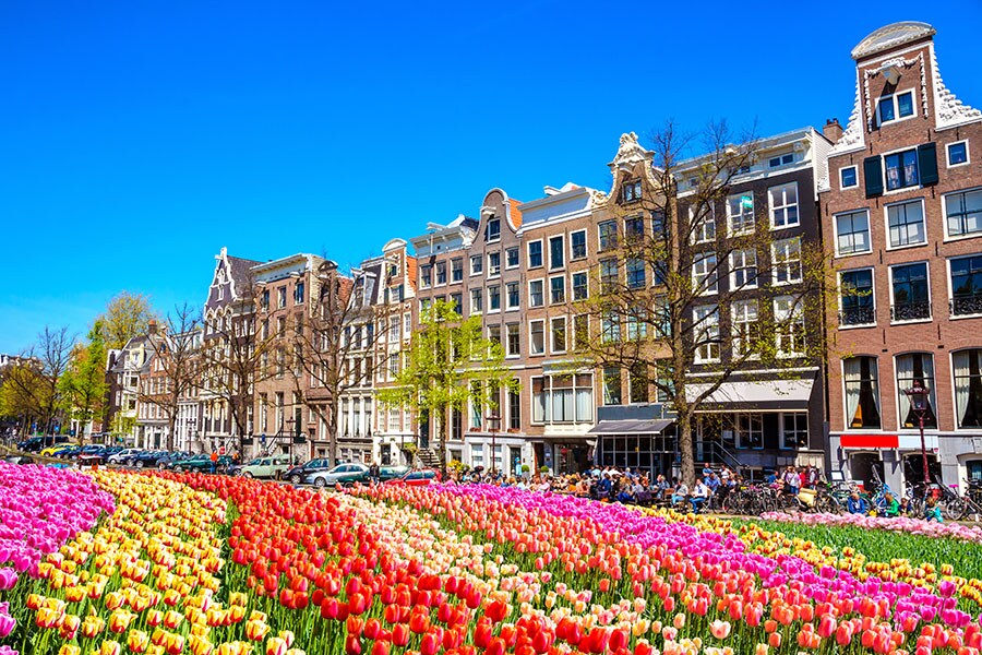 Amsterdam, Netherlands. Image Credit: Shutterstock