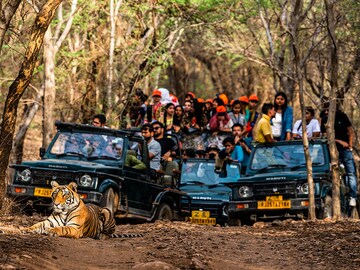 World Nature Conservation Day 2023: Five luxurious jungle safaris in India
