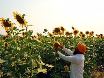 Government hikes MSP of crops by 5-10%