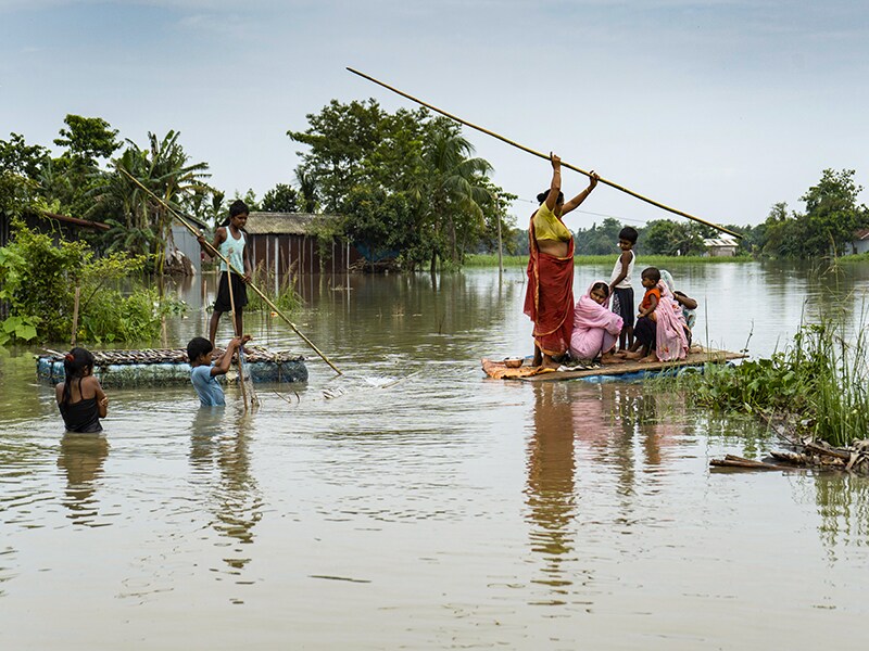 Photo of the day: Surviving the floods