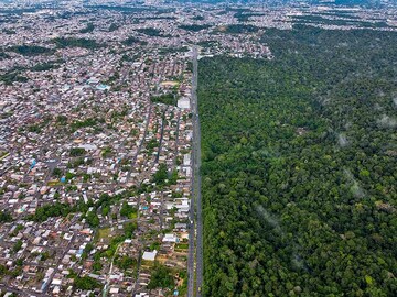 Football pitch worth of tropical forest is lost every 5 seconds