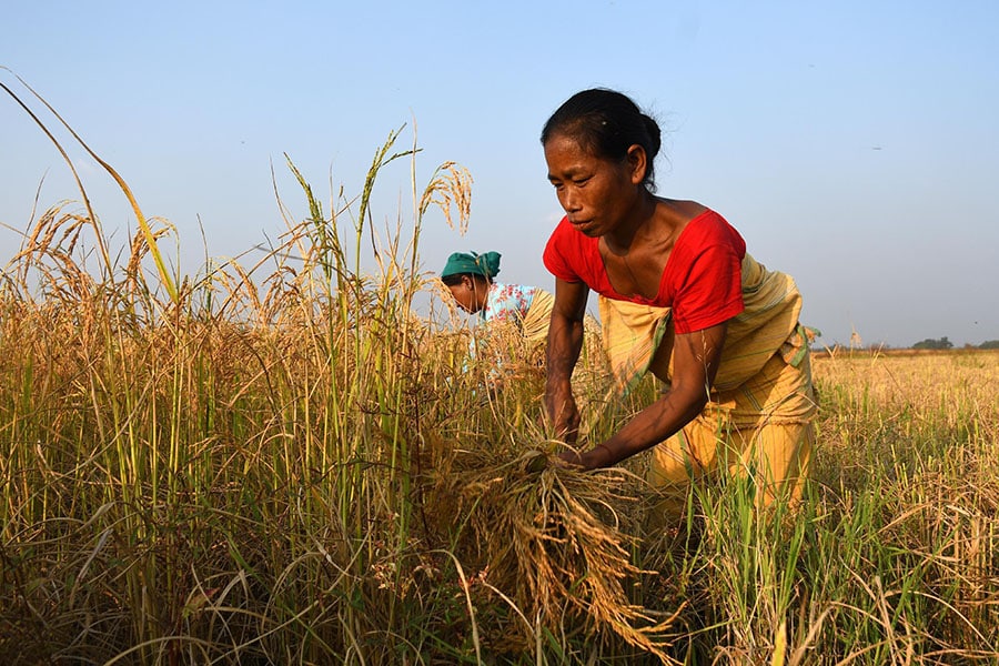 Empowered rural women as silent change agents: Learnings from the Lakhpati Kisan Program of Tata Trust