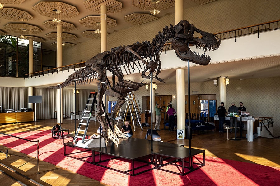 Scientists have a bone to pick with T-Rex skeleton set to sell for millions