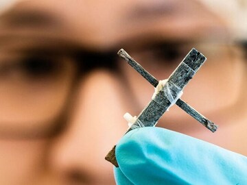 A transistor made of wood: Sign of a future revolution in materials?