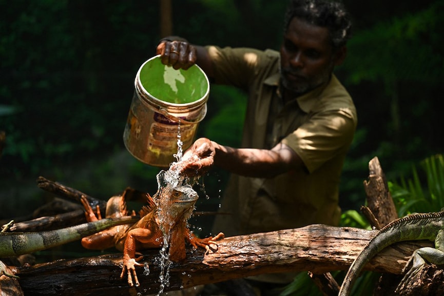 Photo of the day: Beating the heat