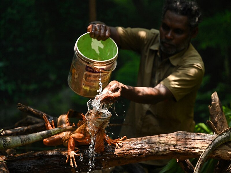 Photo of the day: Beating the heat