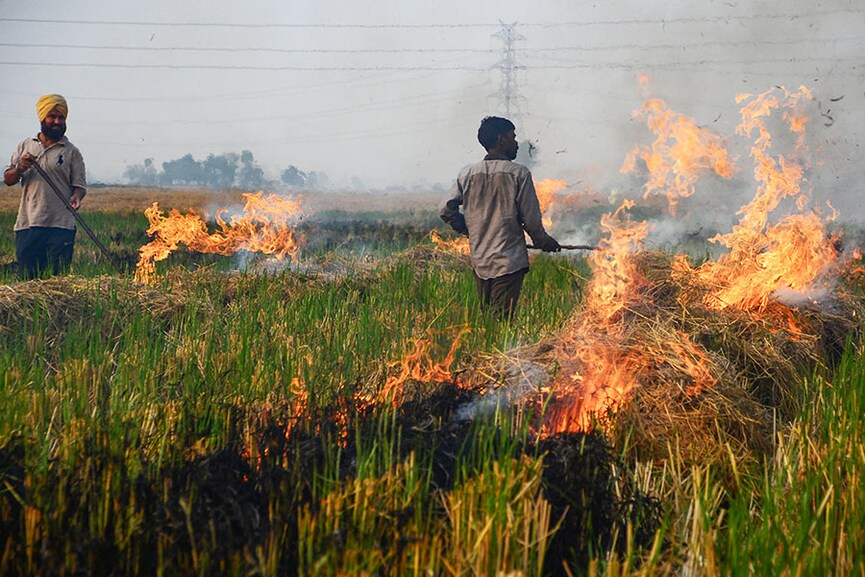 Photo of the day: Stubble burning and air pollution