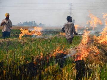 Photo of the day: Stubble burning and air pollution