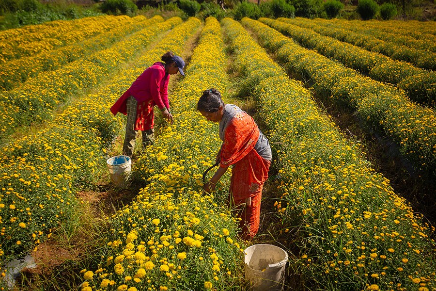 Image: Abhishek Chinnappa/Getty Images