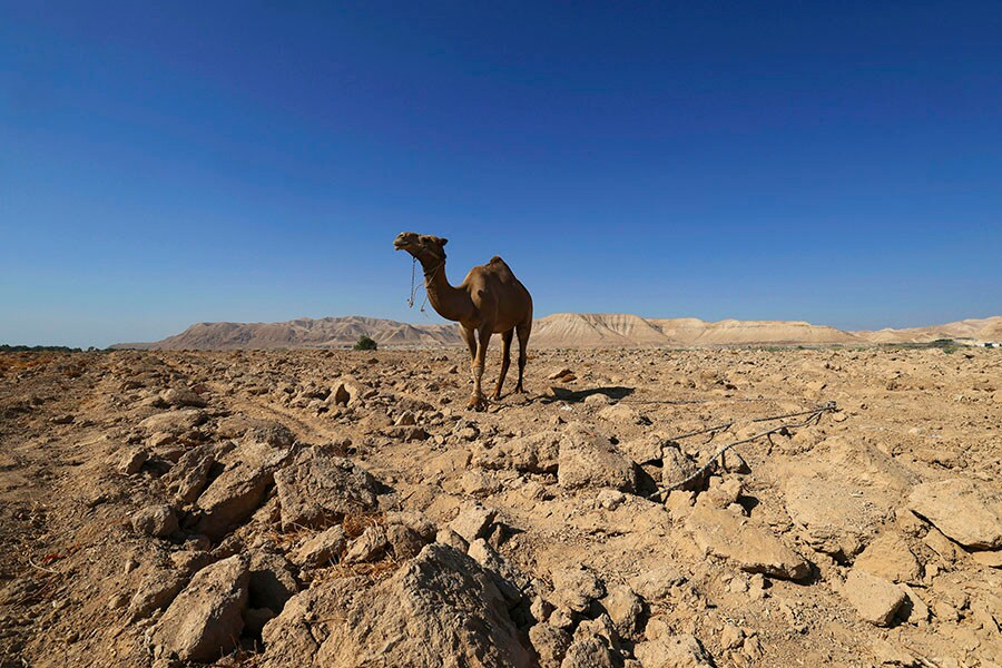 Image: HAZEM BADER / AFP