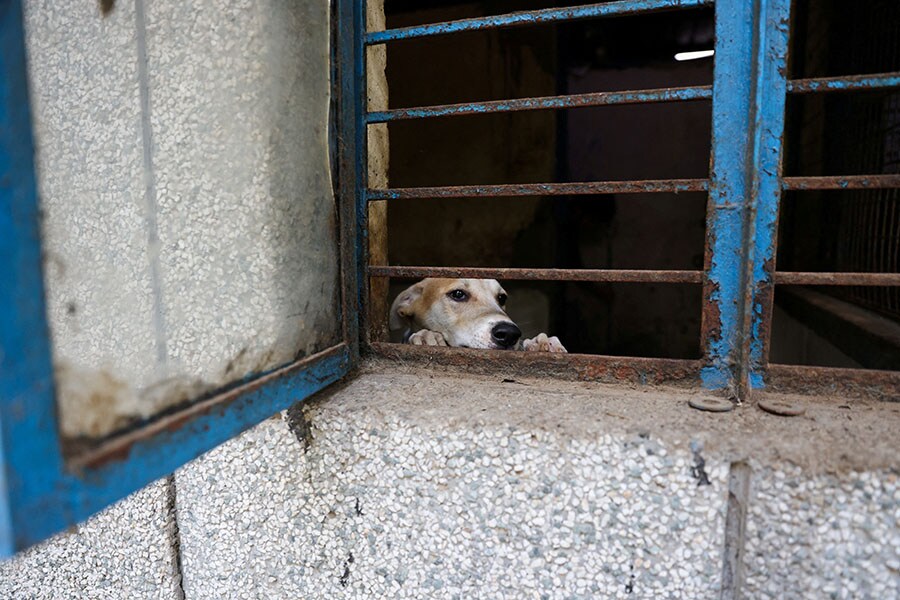 Image: Anushree Fadnavis / Reuters