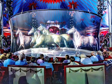 German circus replaces live animals with holograms