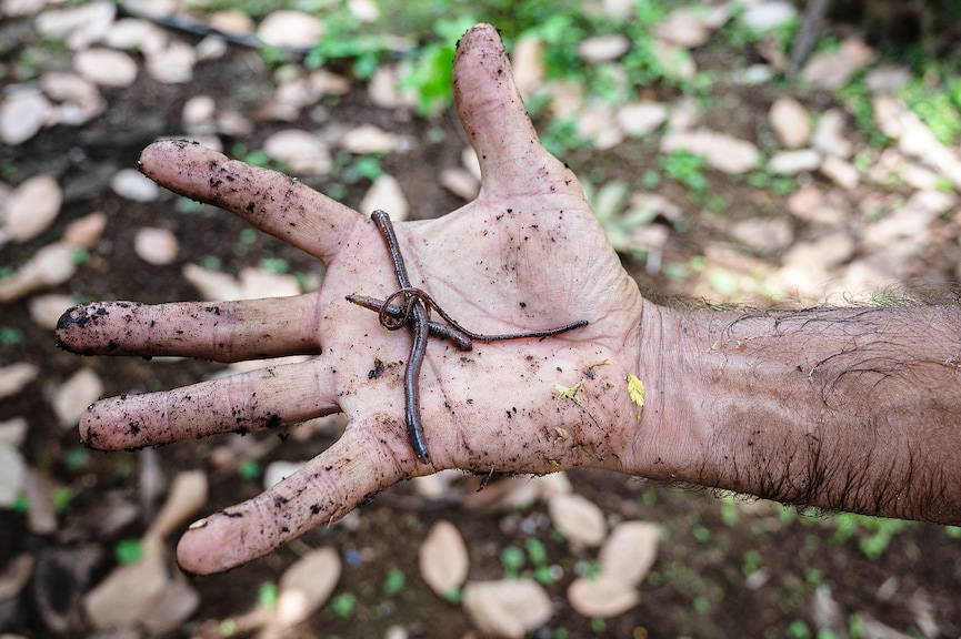 Sustainable living: Meet everyday heroes taking climate action