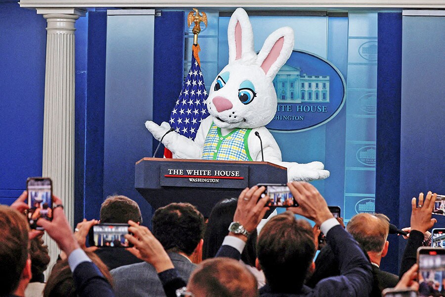 A bunny at a media briefing and fifteen questions in photos: Eyecatchers of the week