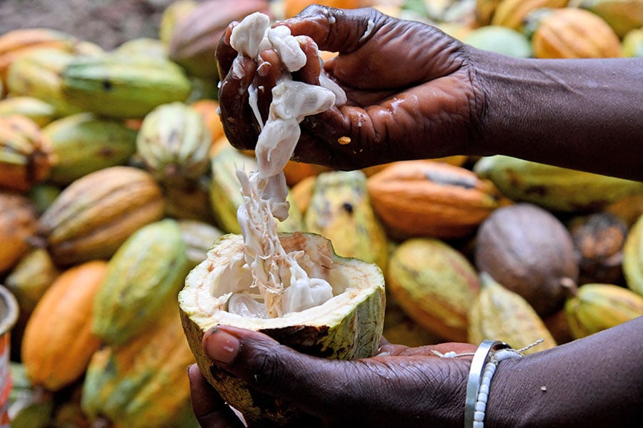 Image: Issouf Sanogo / AFP