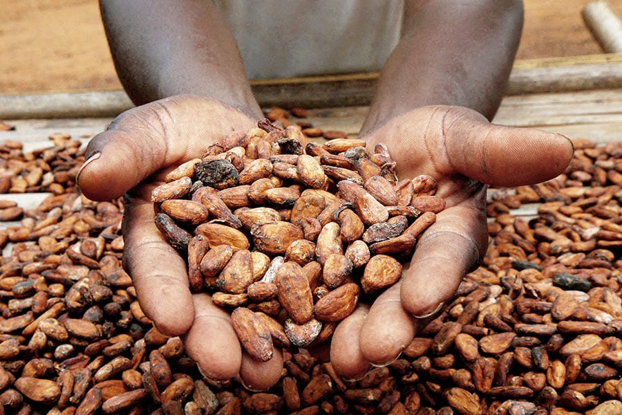 Record cocoa prices and its bitter aftertaste