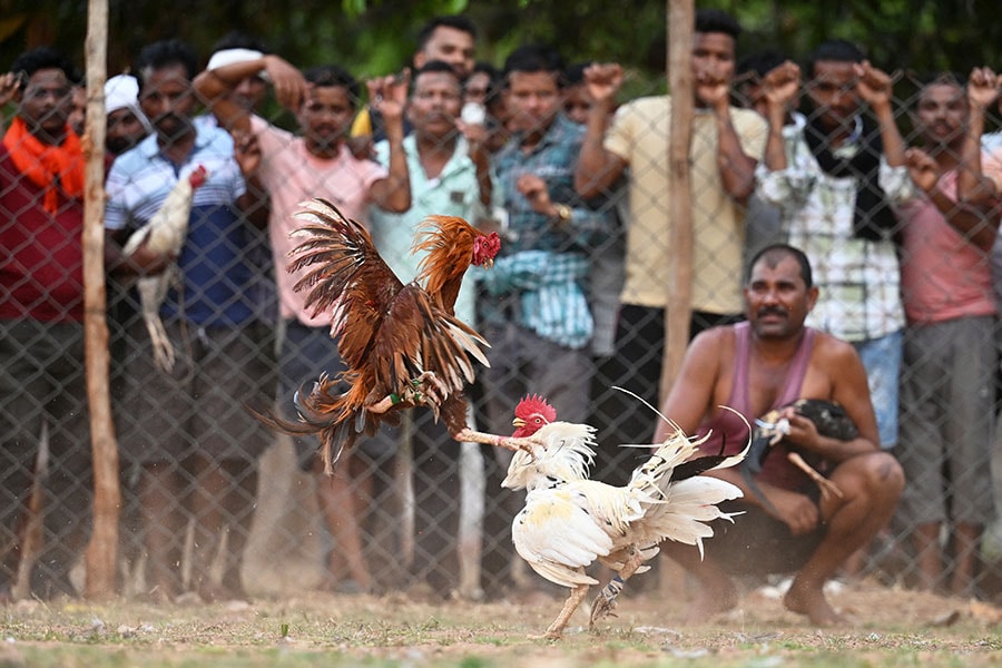 Image: Idrees Mohammed / AFP