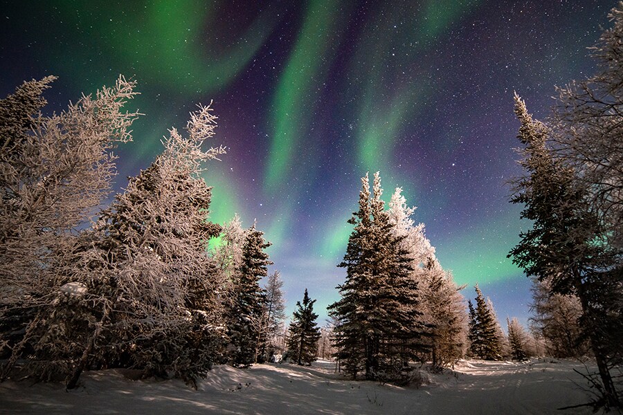 Churchill, Canada. Image credit: Shutterstock