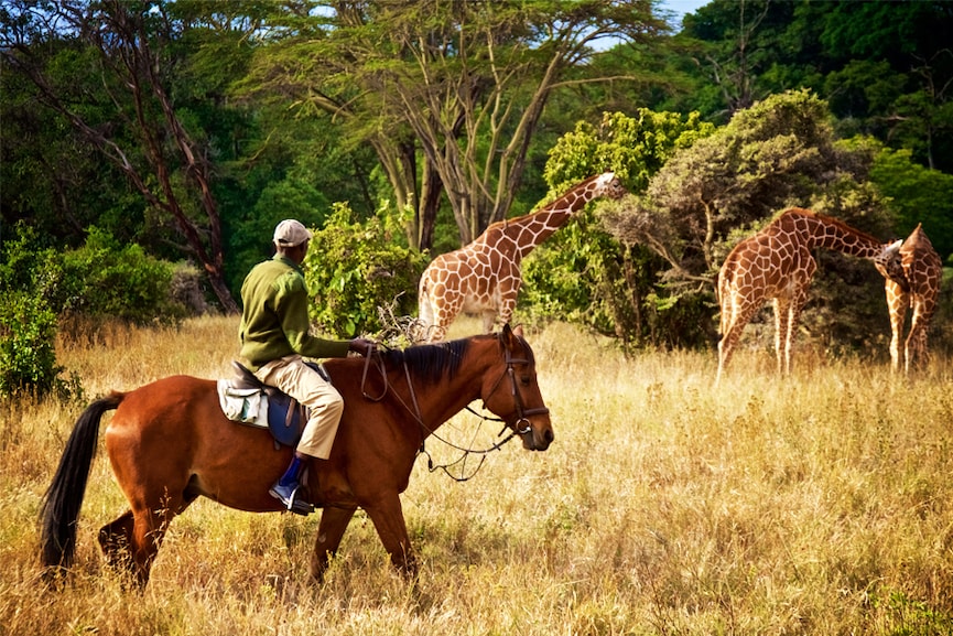 From a horseback safari in Kenya to ski touring UNESCO sites in Georgia, travel experiences to try in 2024