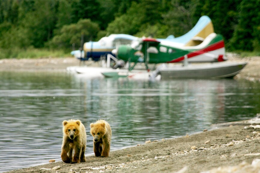 Katmai National Park. Image credit: Shutterstock