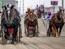 'Suspense' of slowest horse race wins new fans in Japan