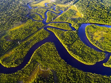 Amazon rainforest may face tipping point by 2050: study