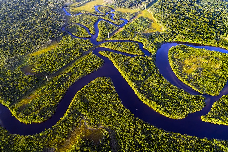 Amazon rainforest may face tipping point by 2050: study