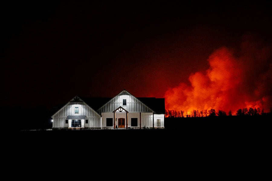 Photo of the day: Surviving wildfire