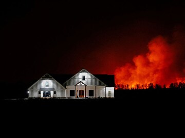 Photo of the day: Surviving wildfire