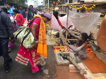 Photo of the day: Makar Sankranti