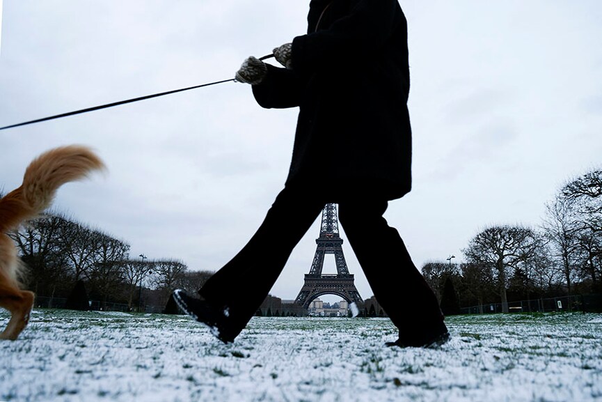 Photo of the day: Prickly Paris winter