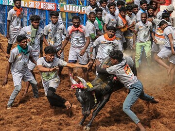 Photo of the day: Jallikattu festival