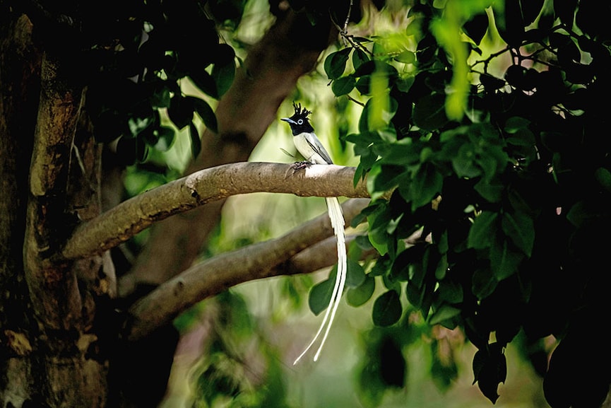 Vijayapur, India. Image: Dhruv Patil