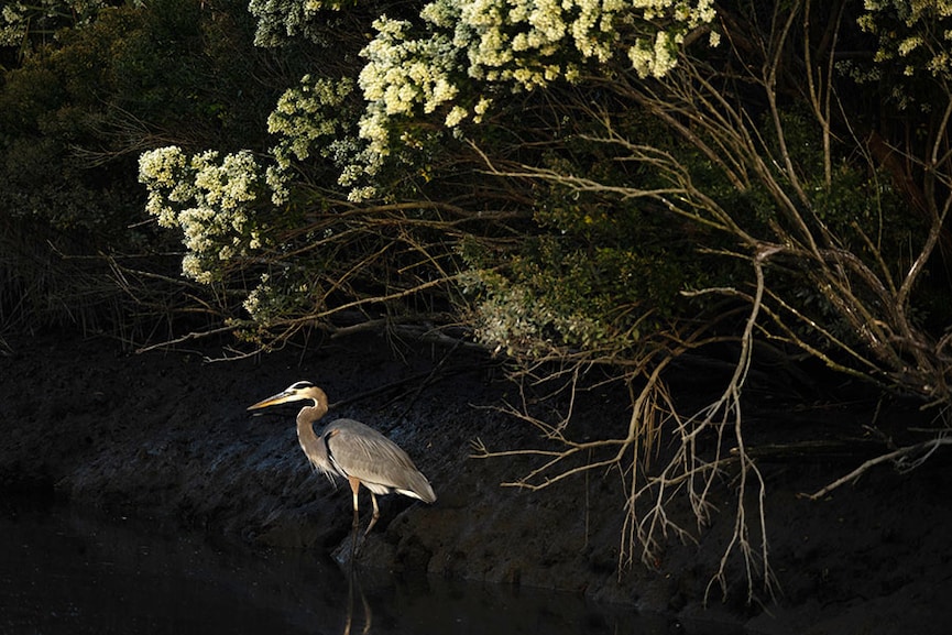 Delaware, US. Image: Dhruv Patil