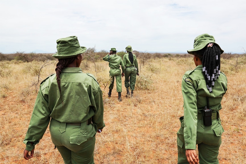 Women rangers fight poachers and prejudice in Kenya